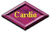 Click here for Cardio Kickboxing!